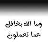 ������ ������� noha