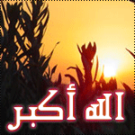 ������ ������� Bird