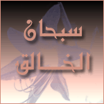 ������ ������� ����